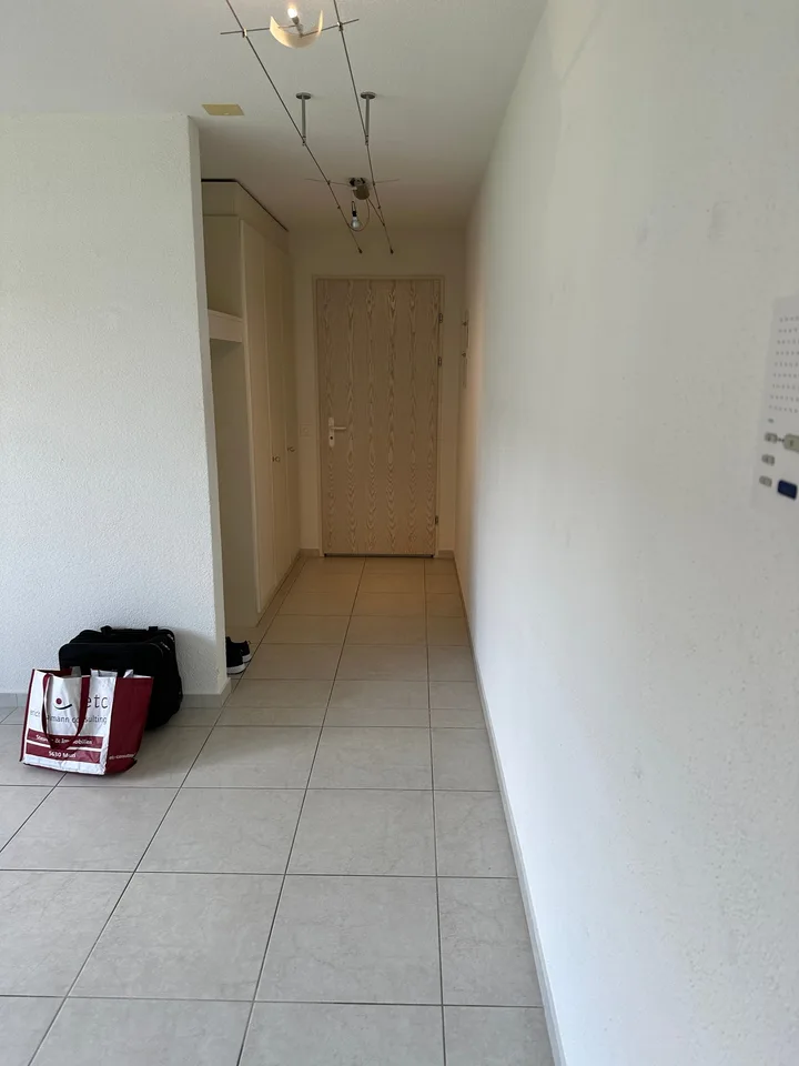 Helle 4.5-Zimmer-Wohnung mit Balkon und Cheminée in Boswil