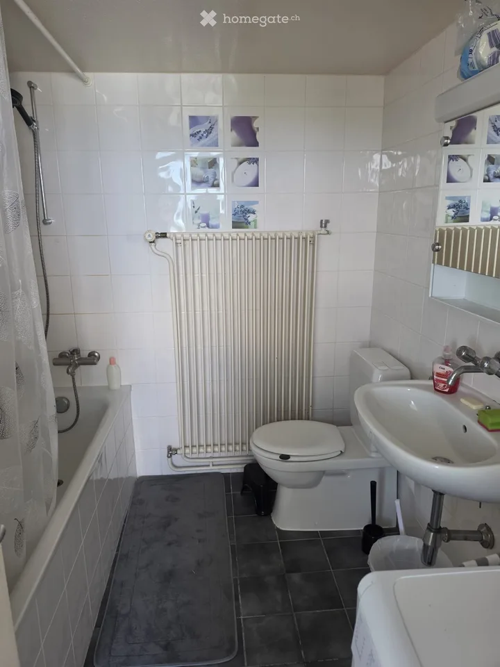 Furnished apartment for sublet in Le Lignon, Geneva