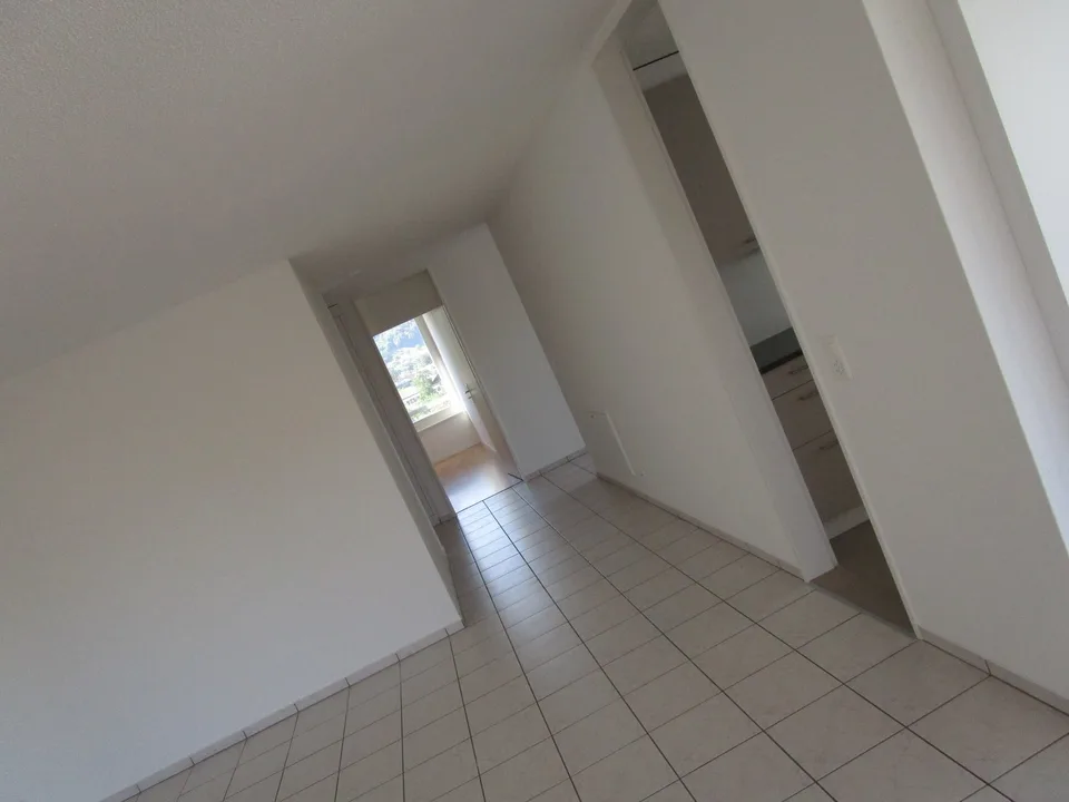 3.5-Zimmer-Attikawohnung mit neuer Küche