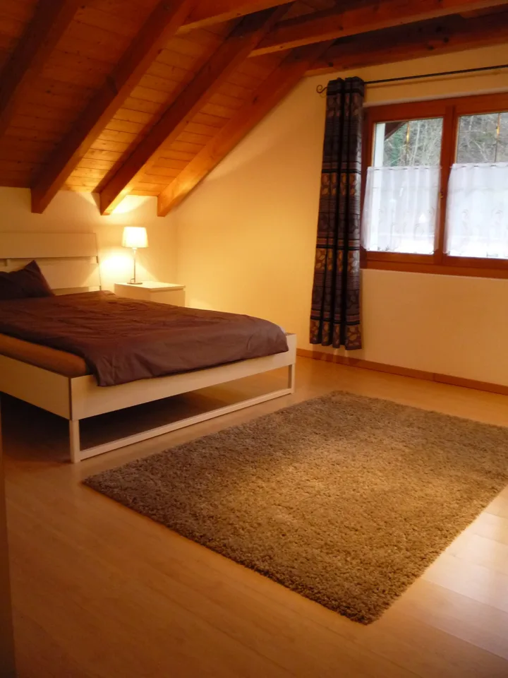 Single-family house with additional apartment