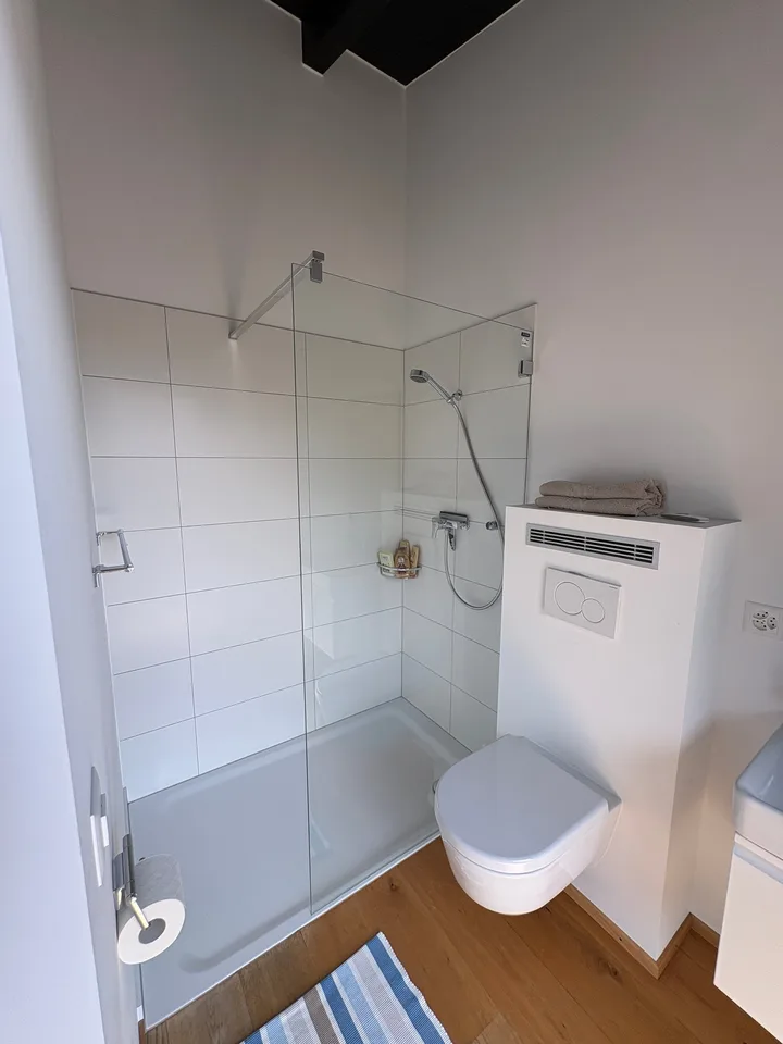 Savièse (VS) Magnificent two-bedroom attic apartment with panoramic mountain views