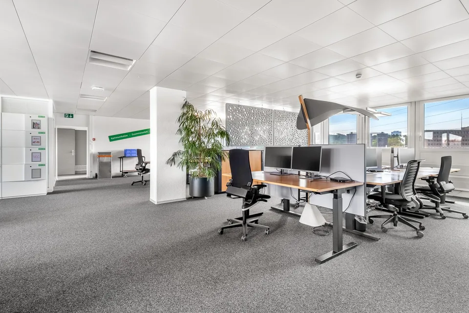 More space, more freedom - 490 m² for your next growth gem