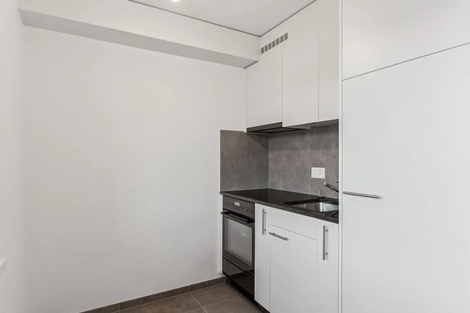 Wohnung mit 1 Zimmer renoviert