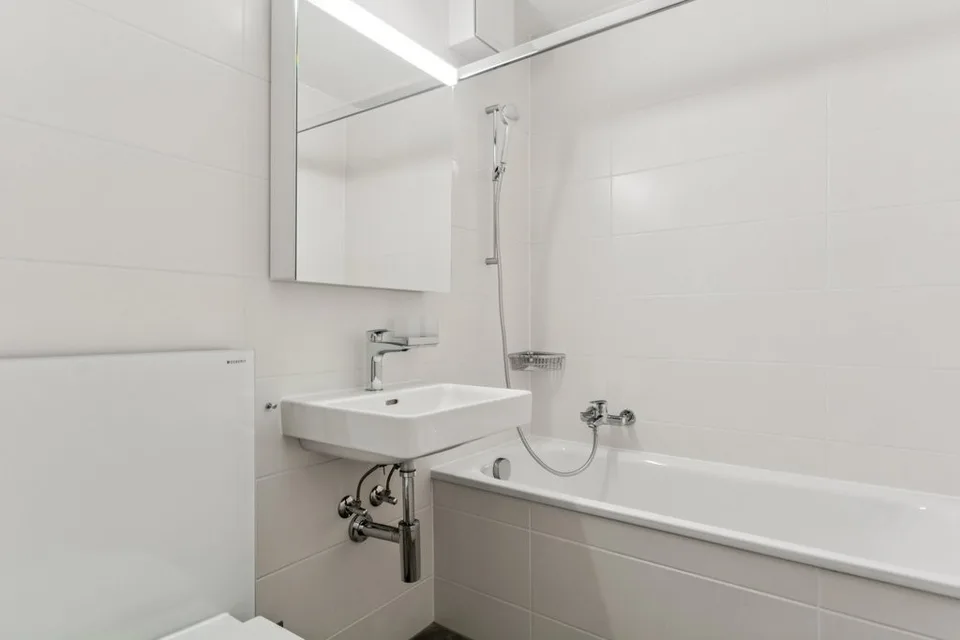 Wohnung mit 1 Zimmer renoviert