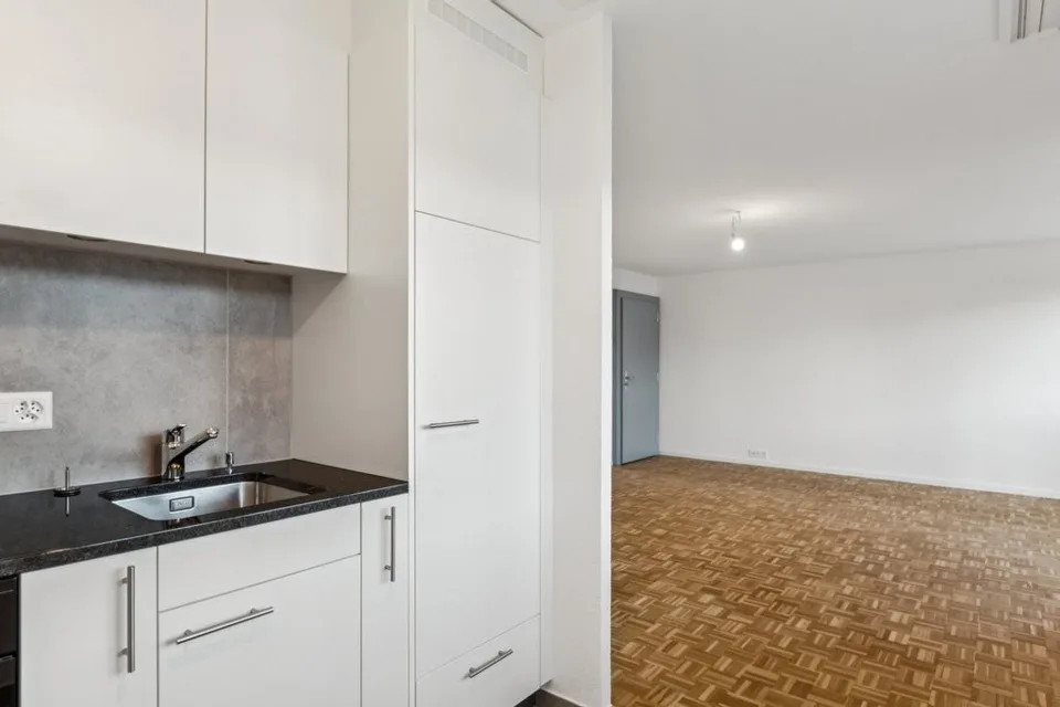 Wohnung mit 1 Zimmer renoviert