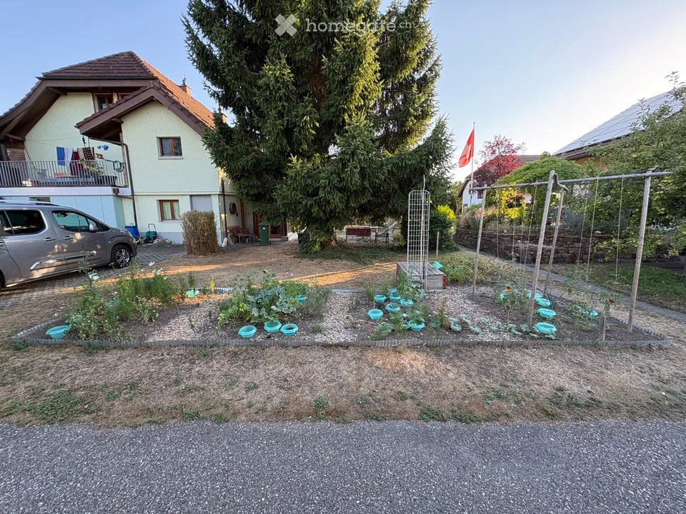 4.5 Room Apartment in Däniken