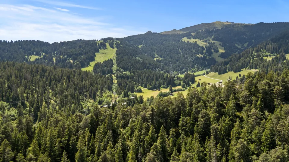 Charmante 3.5-Zimmer-Terrassenwohnung mit Ski-In/Ski-Out in Laax