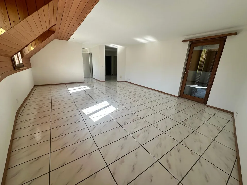 Cozy 4.5 room apartment with large, covered patio