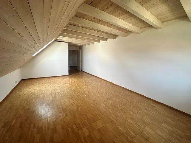 Renovated 3.5-room attic apartment - new kitchen