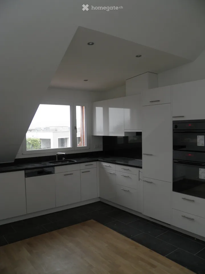 Dachwohnung mit Seesicht in Thalwil