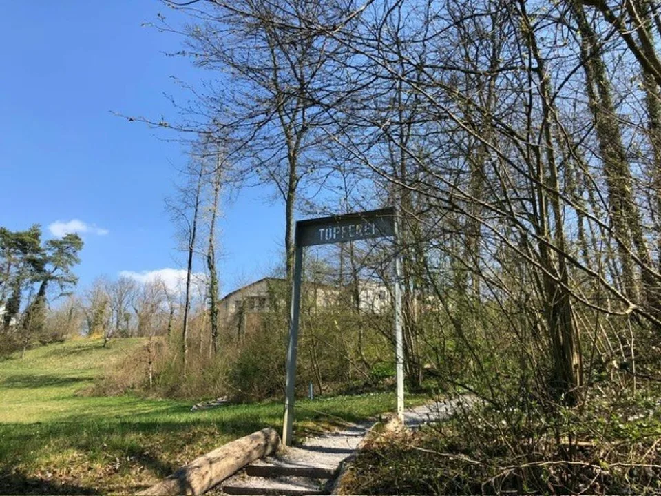 Habiter avec une vue panoramique - vue rêveuse sur le vert