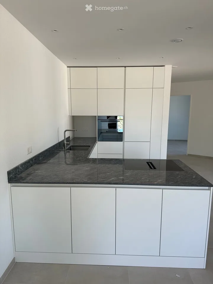 Modern 3.5-room apartment with balcony in Zürich-Seebach