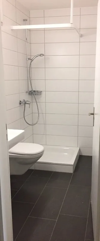 4.5 room apartment, 8049 Zurich