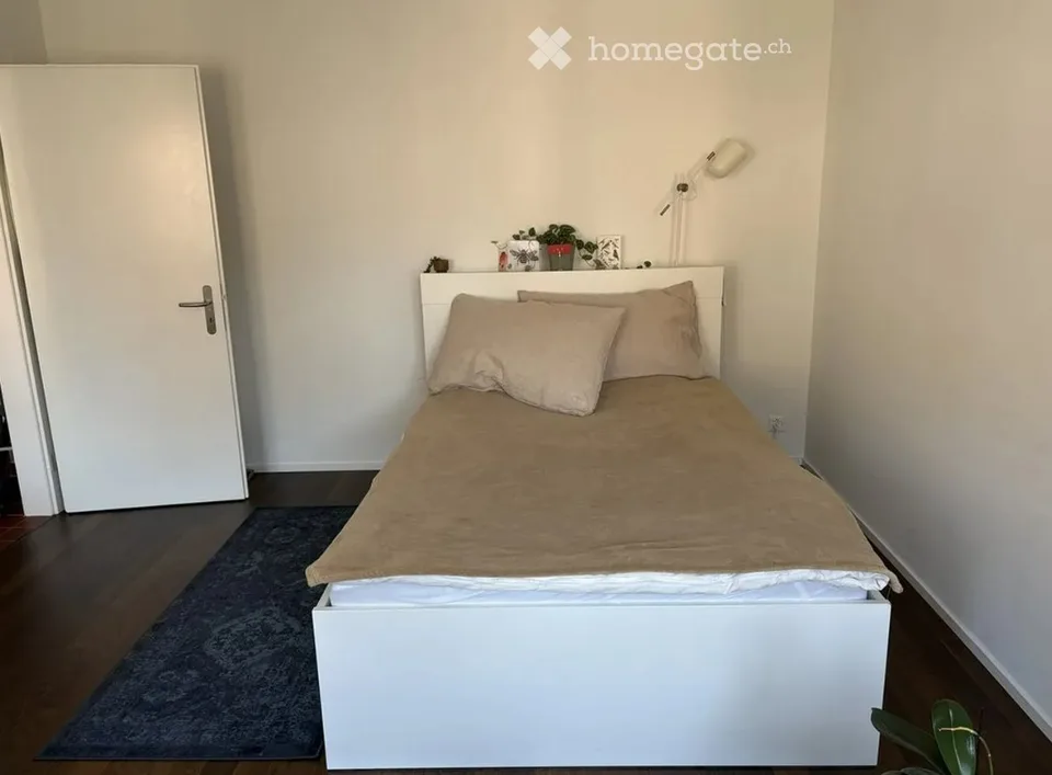 1-Zimmer-Wohnung mit 33 m² in Zürich