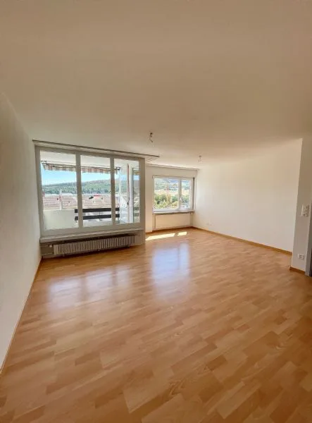 4.5 Zimmerwohnung mit Weitsicht komplett saniert