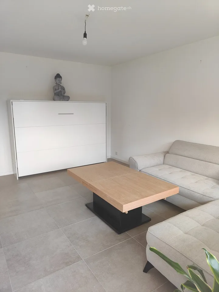 Wohnung 3.5 Zimmer möbliert