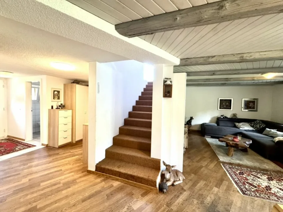 Grosses freistehendes 7.5-Zimmer-Bauernhaus für Pferdeliebhaber oder Kleintierhalter! Pferdeboxen, Remise, Wald und Wiesen ....