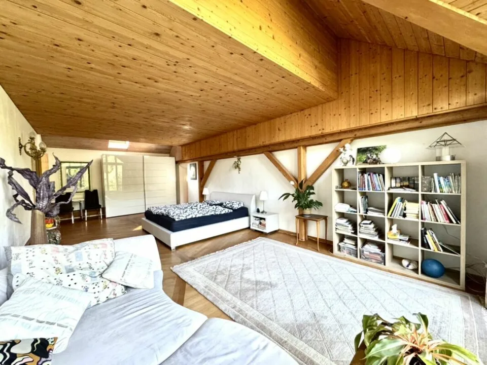 Grosses freistehendes 7.5-Zimmer-Bauernhaus für Pferdeliebhaber oder Kleintierhalter! Pferdeboxen, Remise, Wald und Wiesen ....