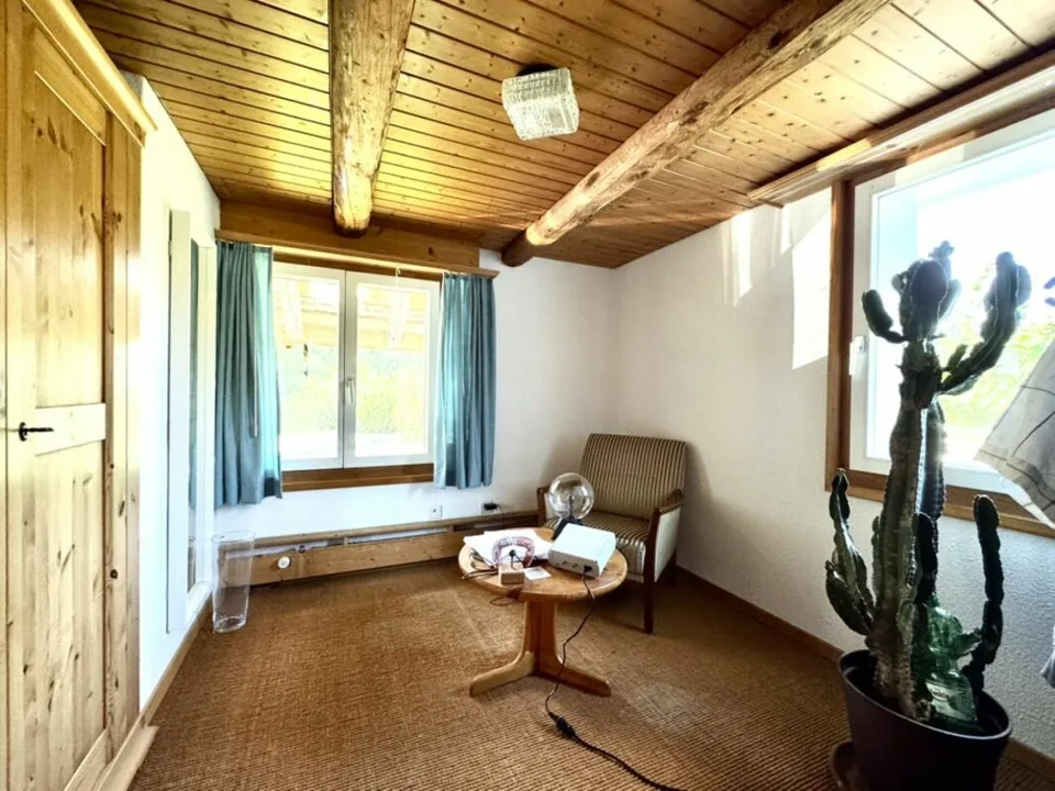 Grosses freistehendes 7.5-Zimmer-Bauernhaus für Pferdeliebhaber oder Kleintierhalter! Pferdeboxen, Remise, Wald und Wiesen ....