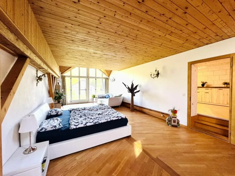 Grosses freistehendes 7.5-Zimmer-Bauernhaus für Pferdeliebhaber oder Kleintierhalter! Pferdeboxen, Remise, Wald und Wiesen ....