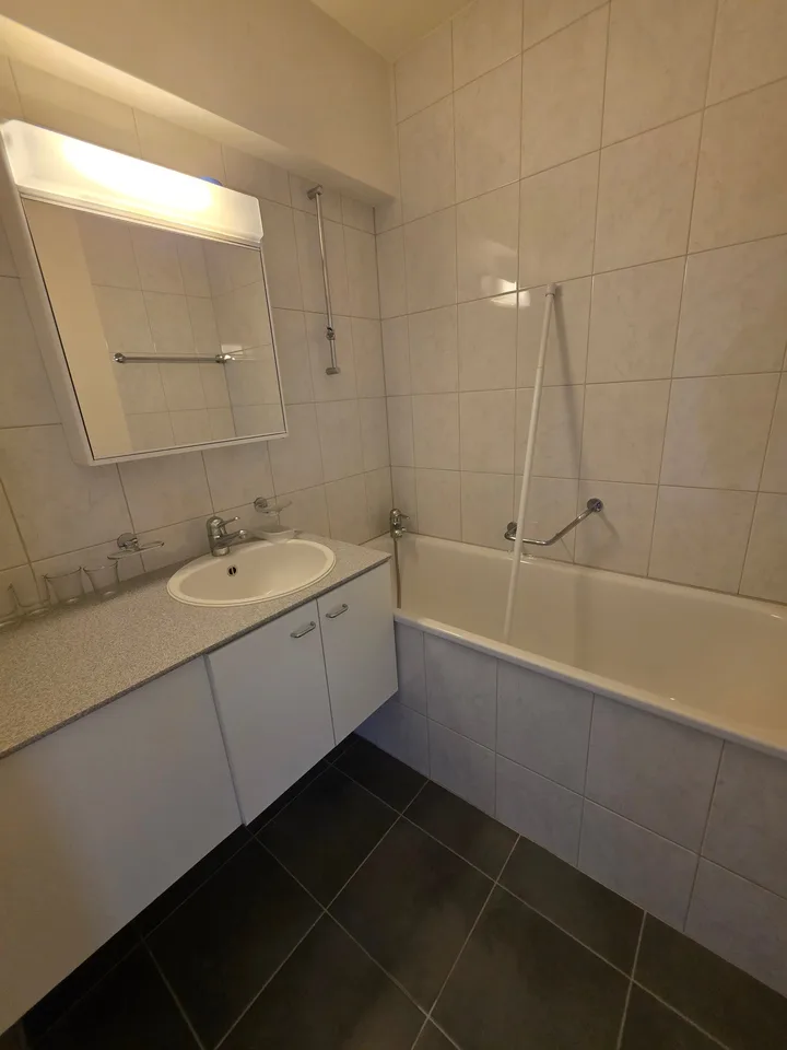 Unconventional 2.5 room apartment with balcony / high ground floor with lift