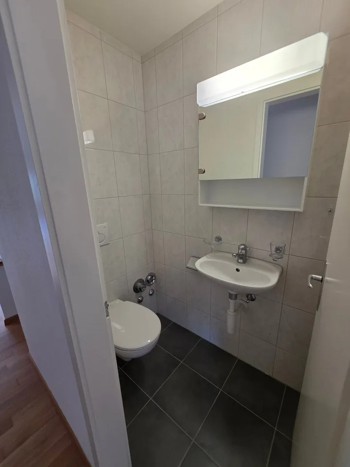 Unconventional 2.5 room apartment with balcony / high ground floor with lift