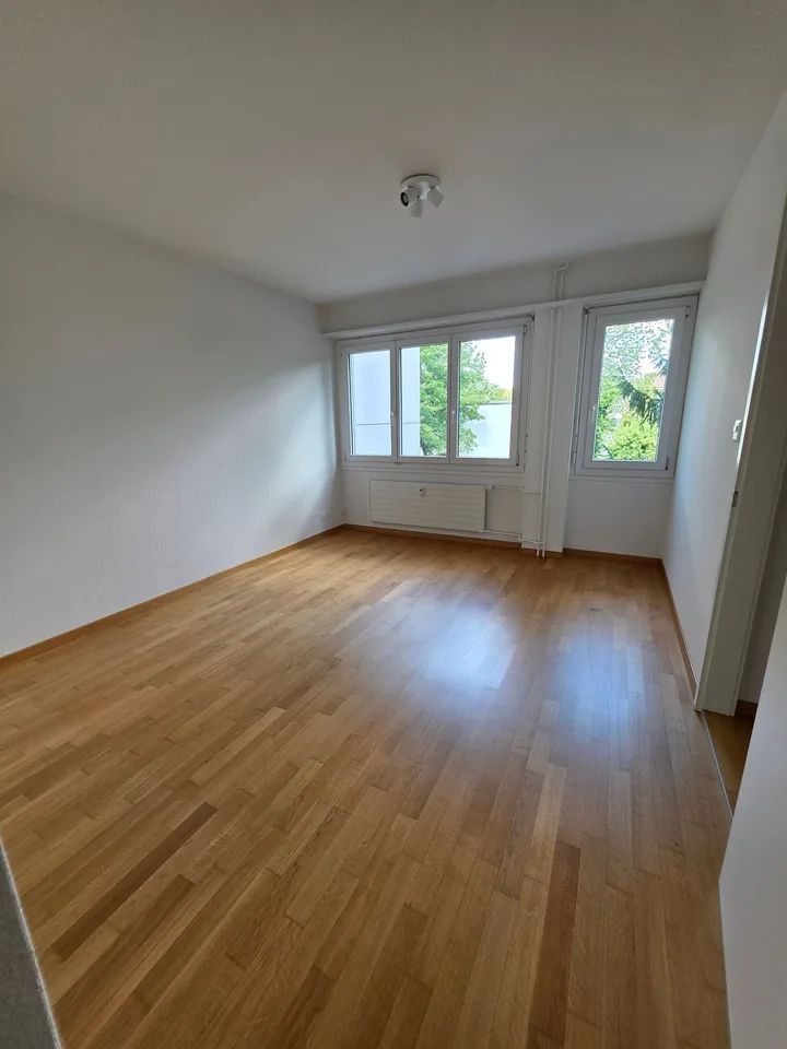 Unconventional 2.5 room apartment with balcony / high ground floor with lift