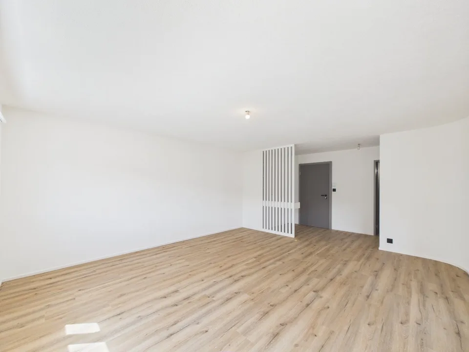 Schönes 3.5-Zimmer-Apartment im modernen Stil komplett renoviert