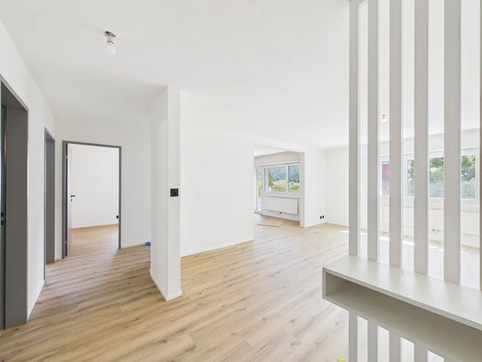 Schönes 3.5-Zimmer-Apartment im modernen Stil komplett renoviert