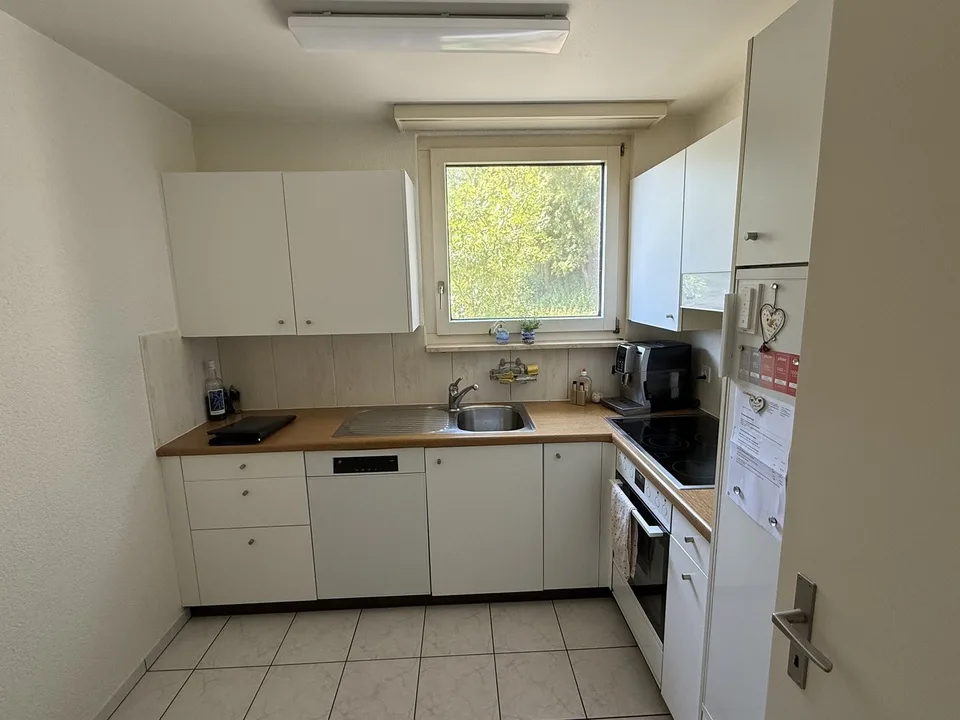 Ampio appartamento 4.5 locali