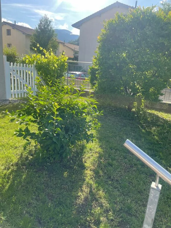 5.5 Zimmer Doppeleinfamilienhaus mit 2 EHP Inklusiv