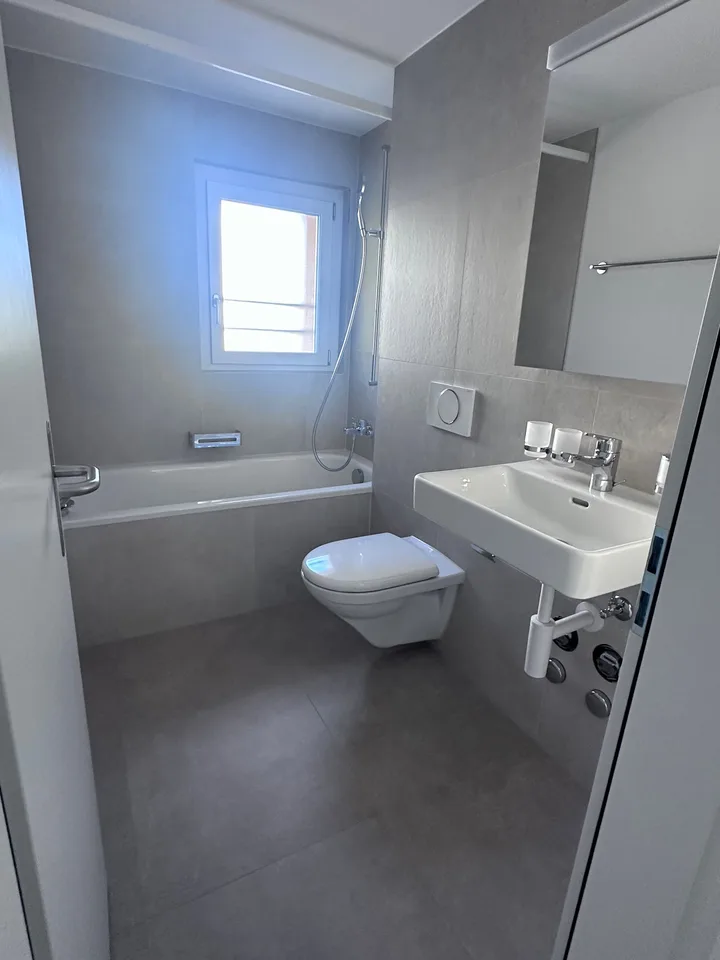 Kürzlich sanierte, moderne 3 Zimmer Wohnung mit Balkon – sofort verfügbar!