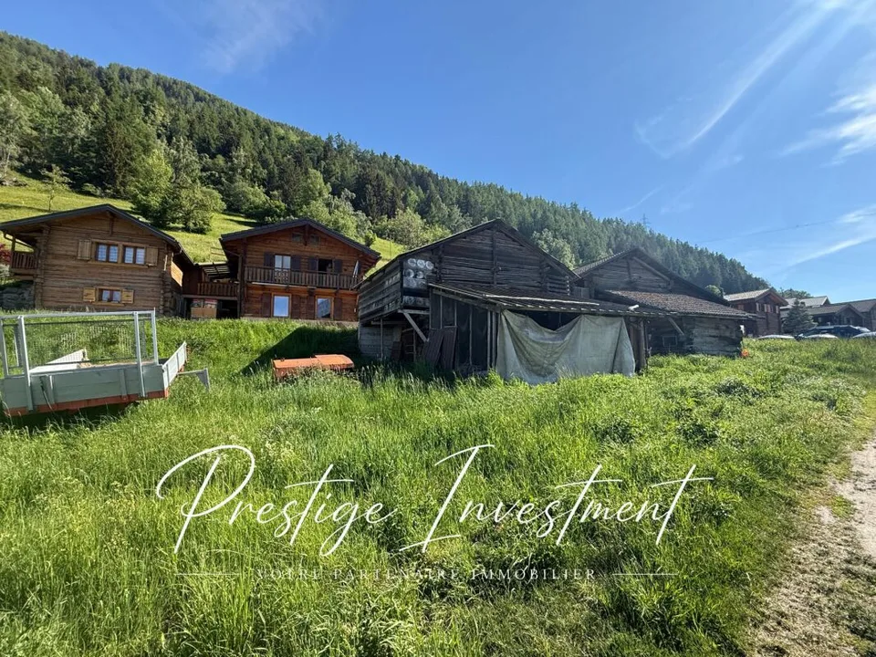 BAUGRUND MIT SCHEUNE UND PFERDESTALL ZUM RENOVIEREN NENDAZ