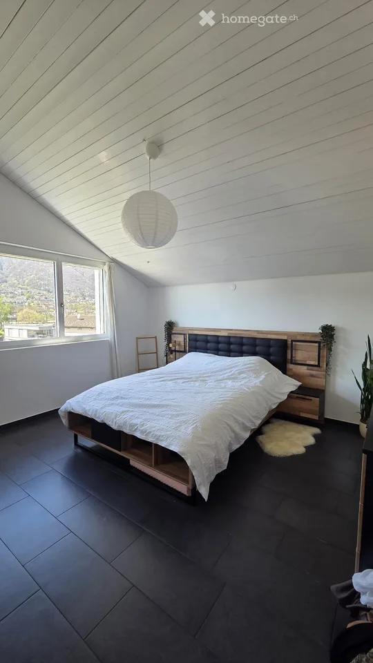 Looking for a sublessee - DUPLEX attic