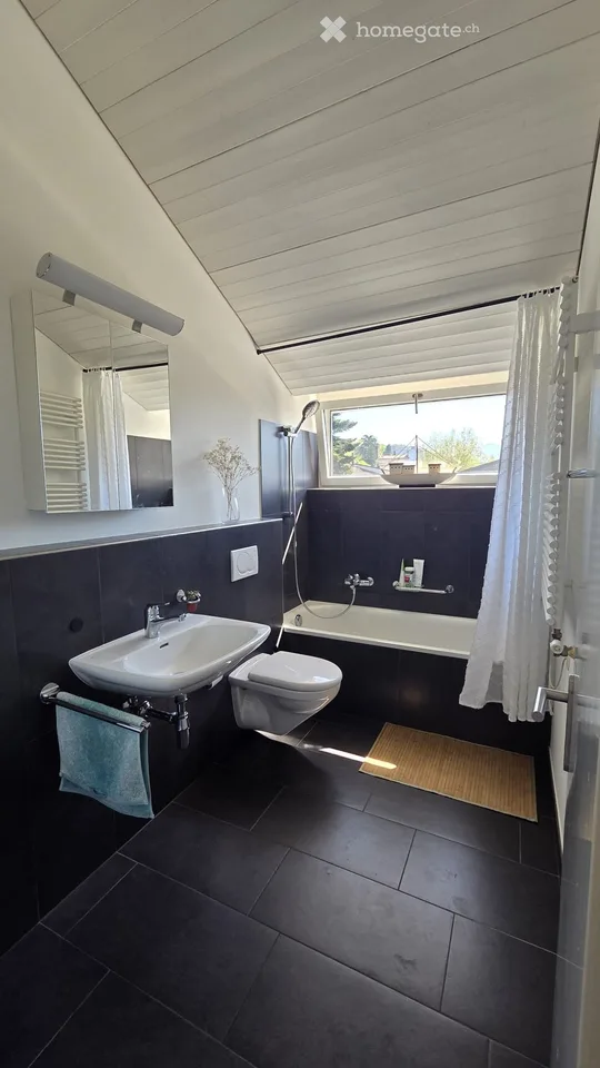 Looking for a sublessee - DUPLEX attic