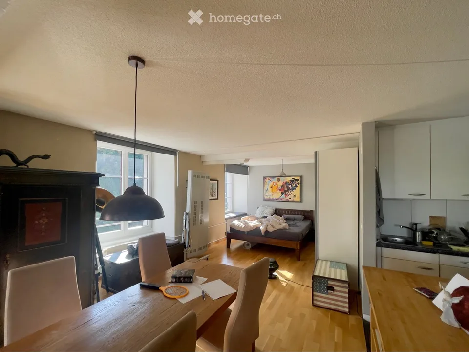 Appartement loft lumineux dans une filature historique
