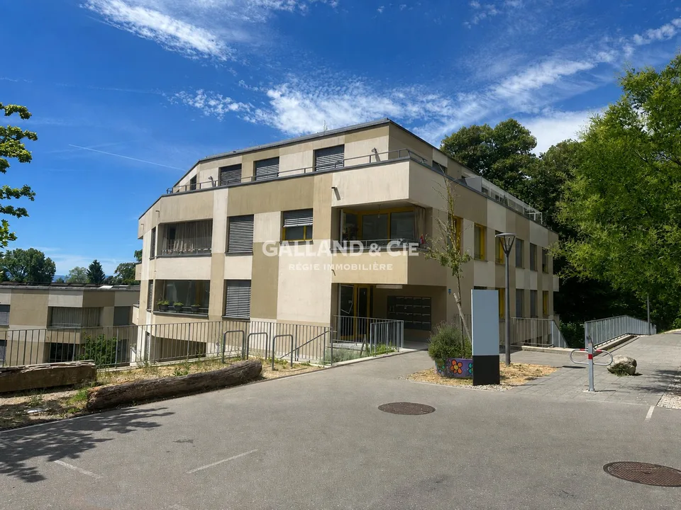 Ampia superficie per professioni mediche o uffici - ~164 m²
