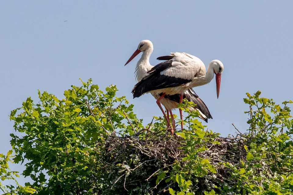 Wohnen, wo Natur und Lebensqualität zuhause sind