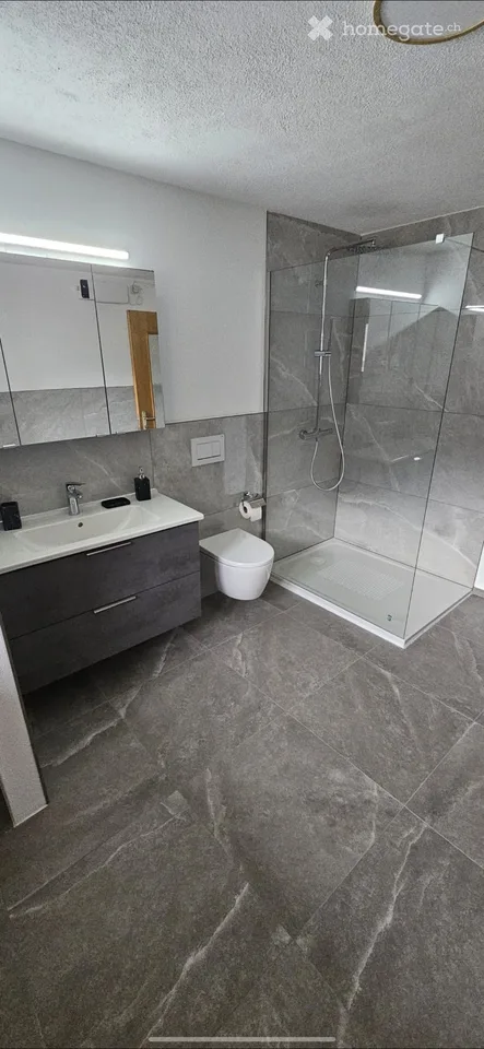 Appartement à louer à Mesocco