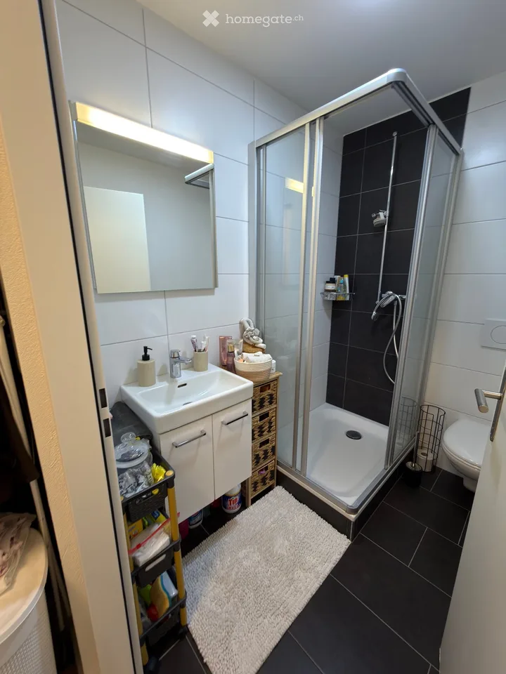 Wohnung zu vermieten & Möbel zu verkaufen
