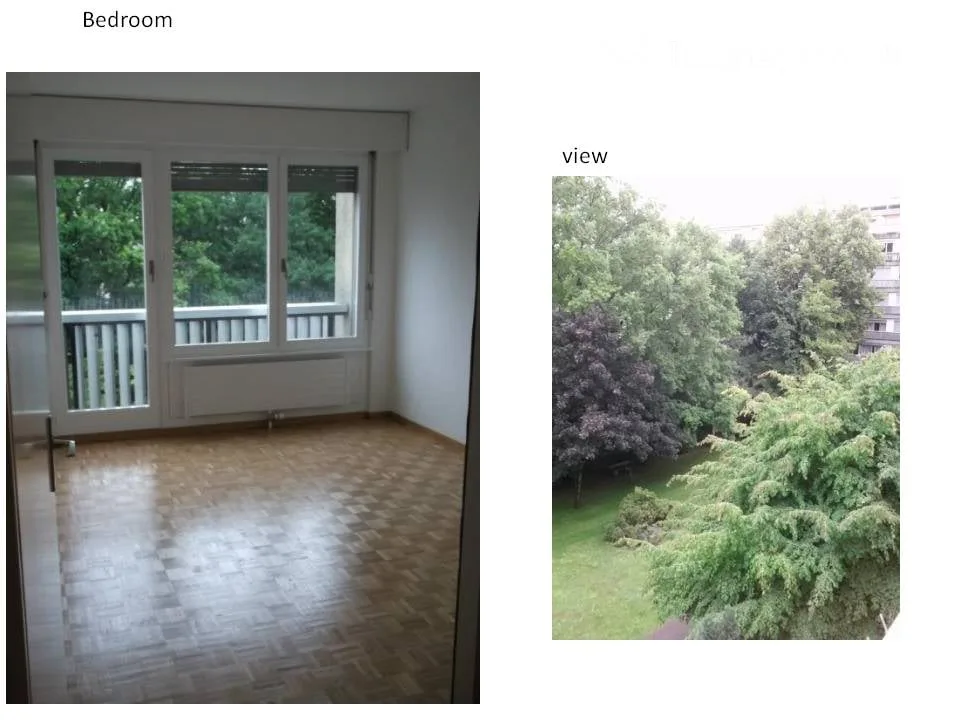 Grand 3 pieces / 76sqm @4th floor in Champel with Private Park View