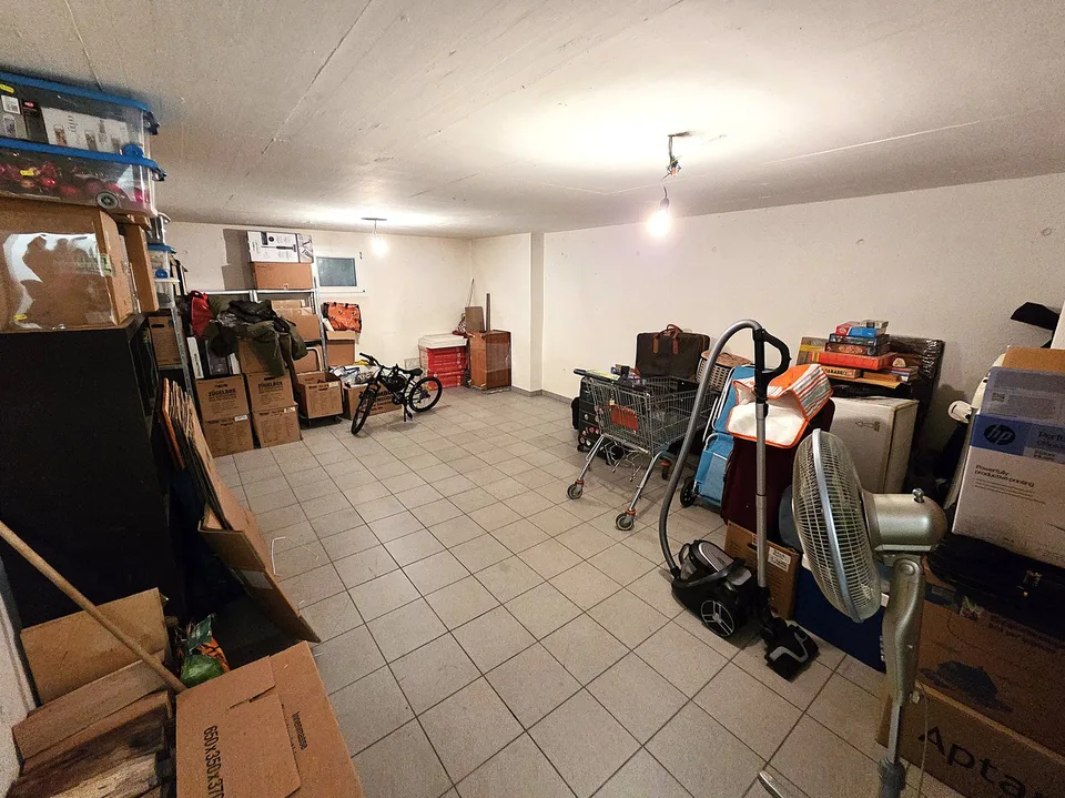 Splendido attico di 5.5 locali con piscina ad Arbedo-Castione