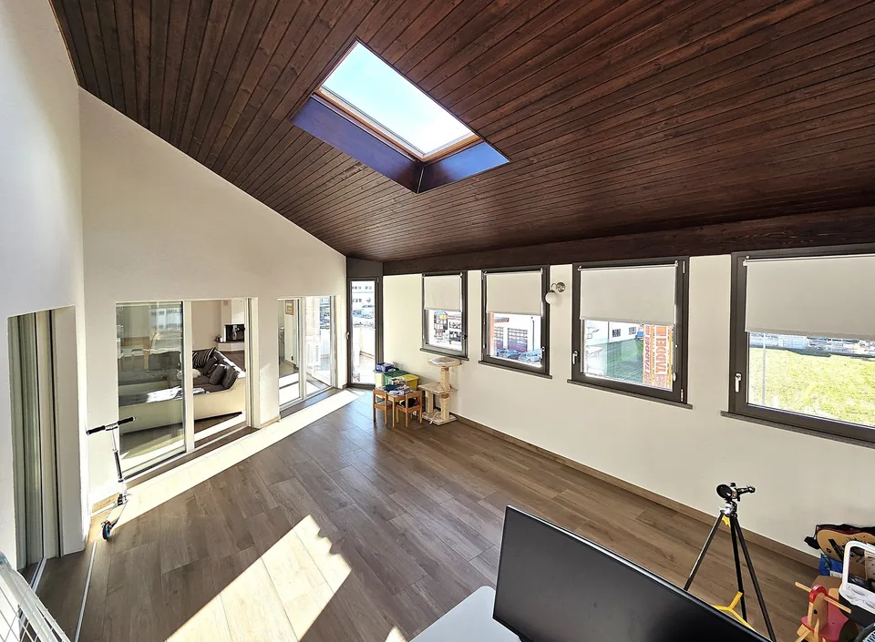 Splendido attico di 5.5 locali con piscina ad Arbedo-Castione