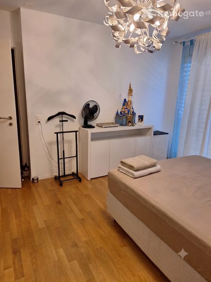 Cerchiamo subentrante per appartamento con rooftop