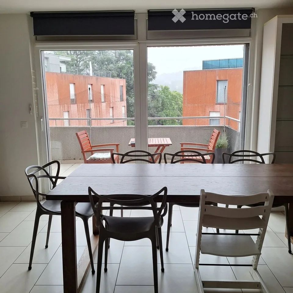 We are looking for a sublessee for an apartment with a rooftop