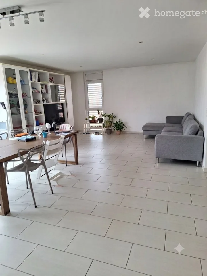 We are looking for a sublessee for an apartment with a rooftop