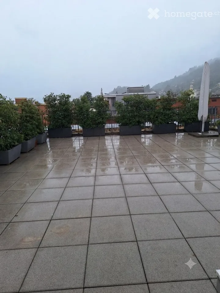 We are looking for a sublessee for an apartment with a rooftop
