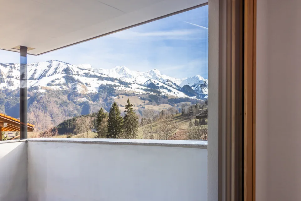 Dernière opportunité : appartement neuf de 4½ pces avec vaste