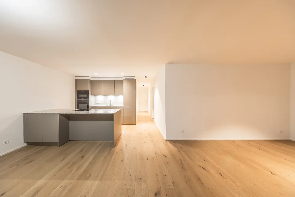 Dernière opportunité : appartement neuf de 4½ pces avec vaste
