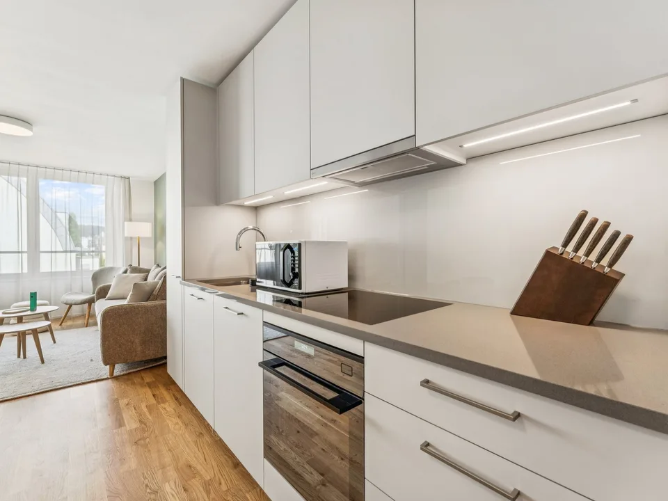 Möblierte Apartments im Oslo Style | LOU Luzern